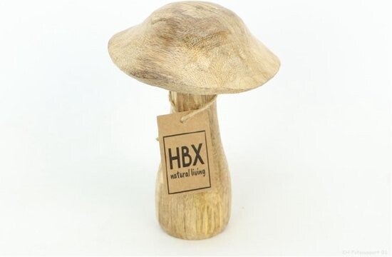 Deco Paddenstoel Mango - Ø10xh15cm