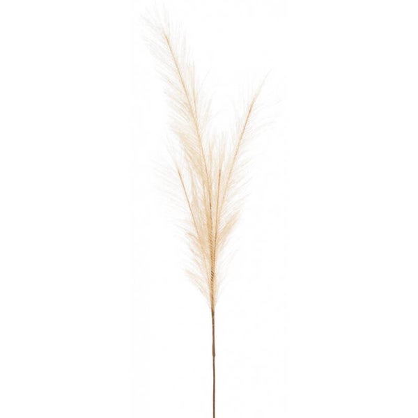 Veren - DECORATIEVE PLUIM "Beige" 80CM