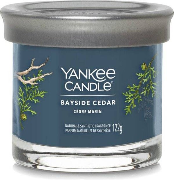 Yankee Candle Bayside Cedar Signature Small Tumbler – 122 gr