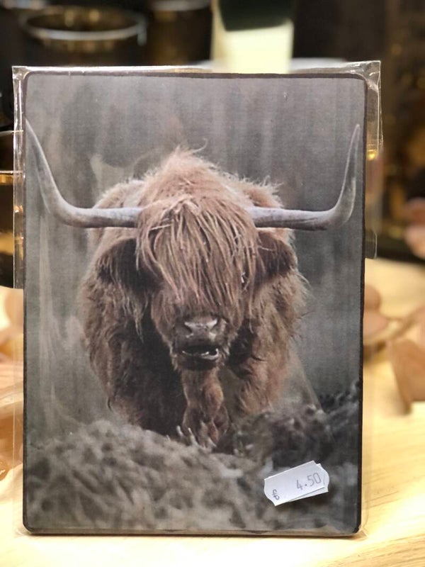 Nostalgisch fotobordje schotse hooglander