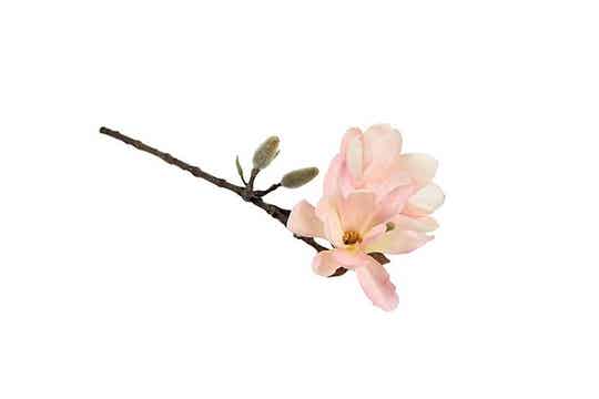 Kunstbloem - Kunst magnolia tak klein met zijtakken roze - L8B8-HOOGTE 62CM