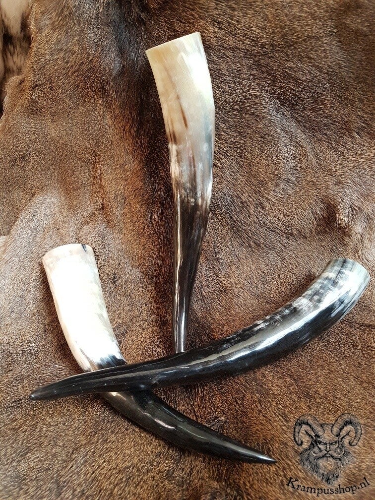 Krampus-Perchten Drinkhoorn, Runderhoorn, ca. 300 ml.