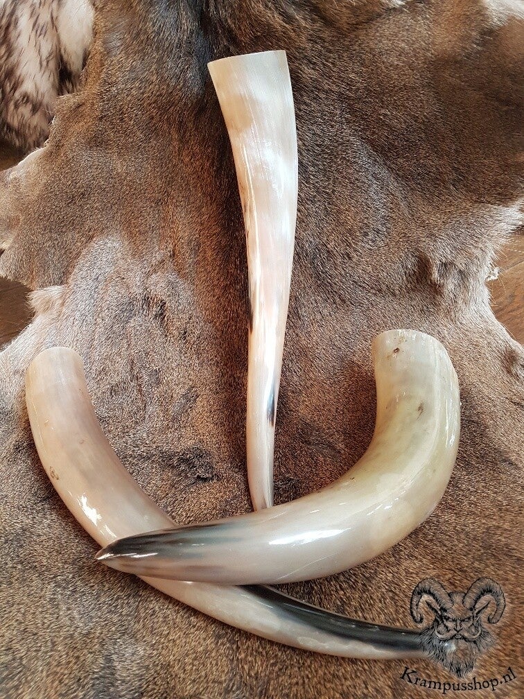 Krampus-Perchten Drinkhoorn, Runderhoorn, ca. 600 ml.