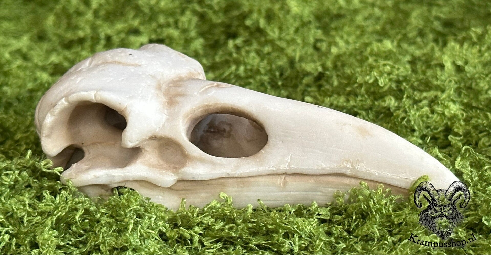 Krampus - Perchten Ravenschedel van Hars