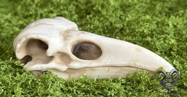 Krampus - Perchten Ravenschedel van Hars