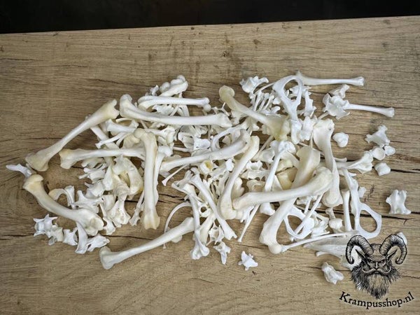 Krampus - Perchten Vos & Nerts botjes