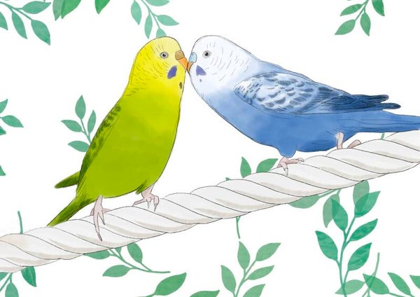 Kaart A6: Parkietjes