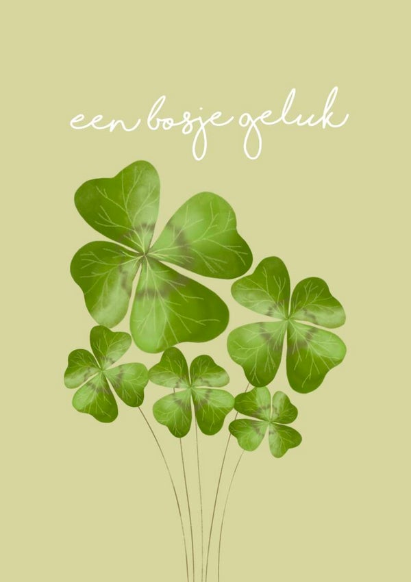 Kaart A6: Bosje geluk