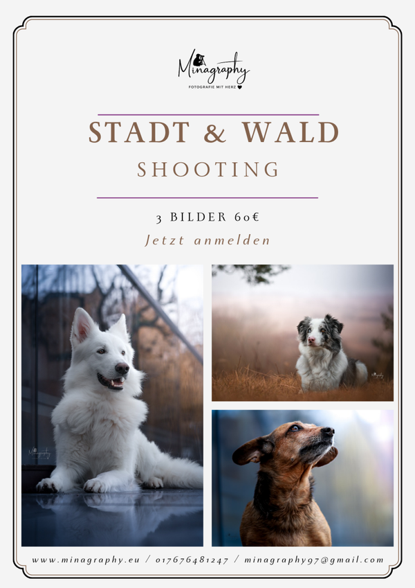Stadt Shooting