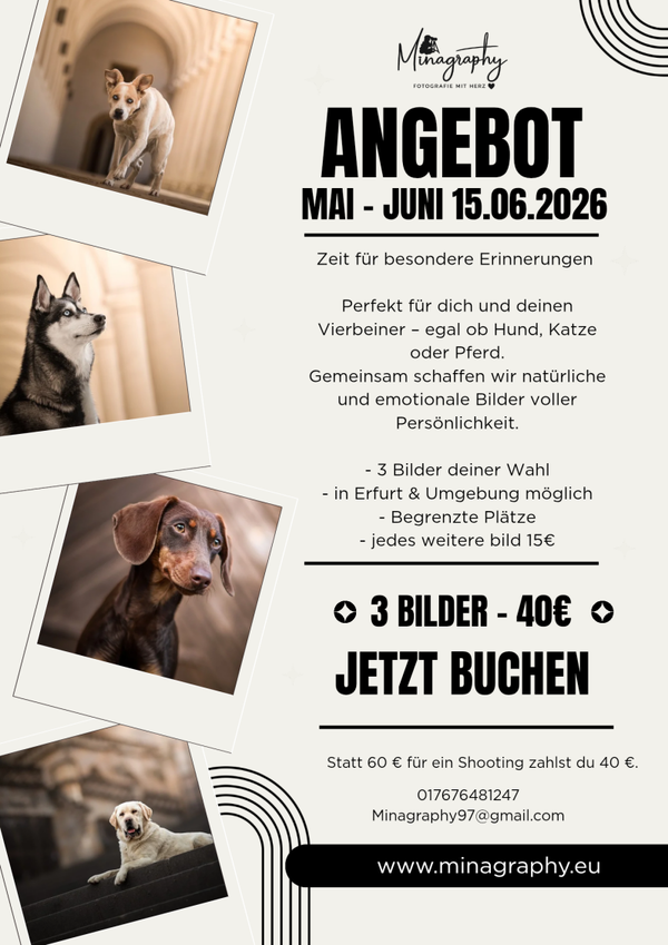 ANGEBOT