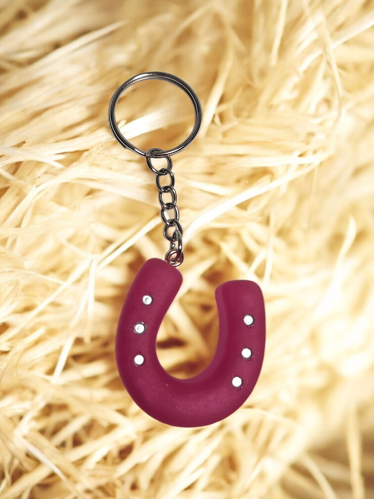 Horseshoe keyring