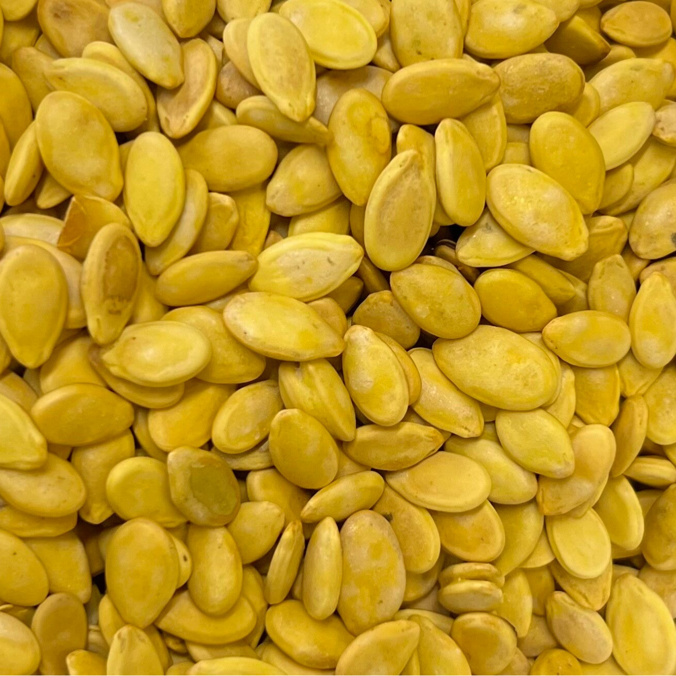 Kerne ⭐️ بزر مصري