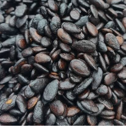 Kerne ⭐️ بزر جبس اسود