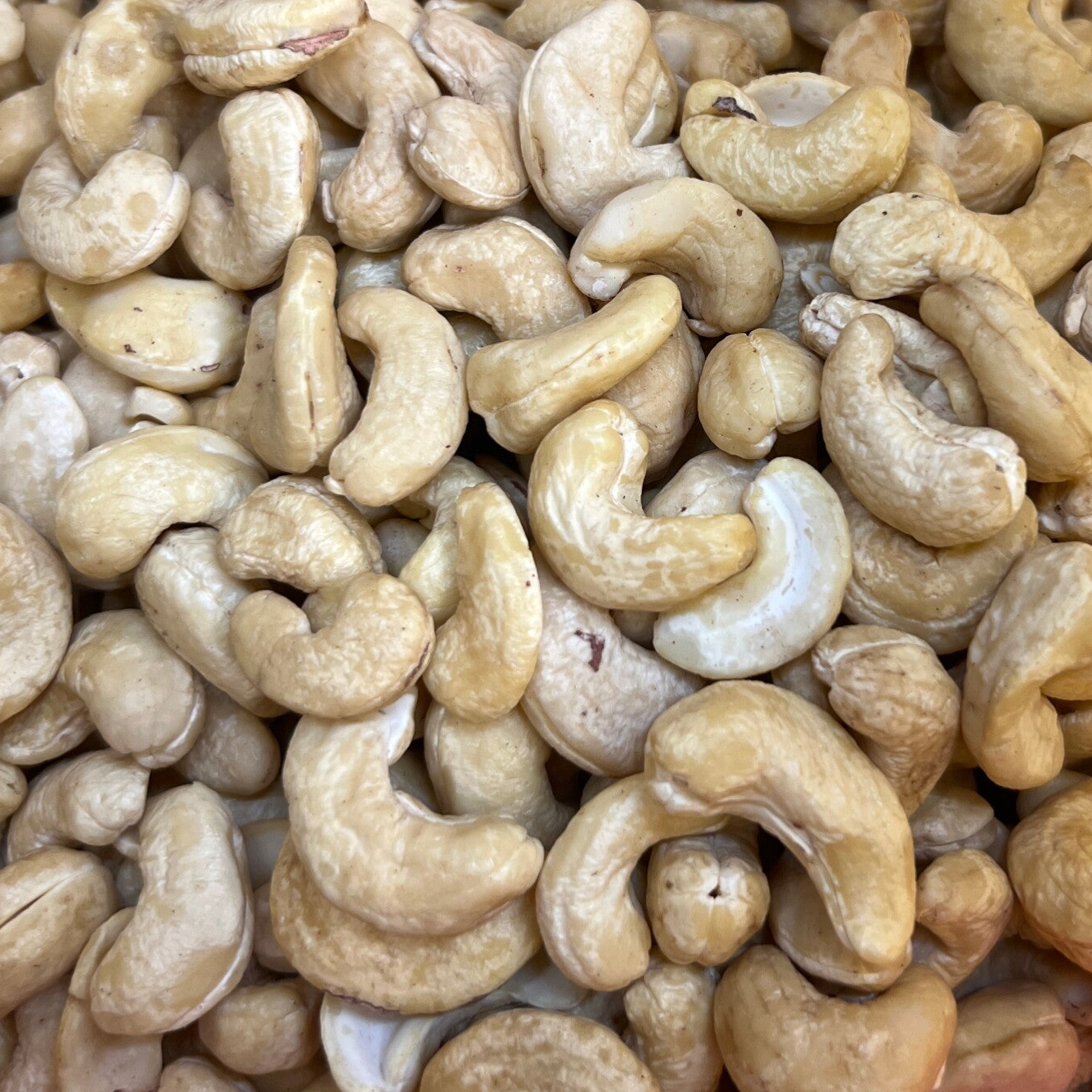 Cashew ⭐️ كاجو ني