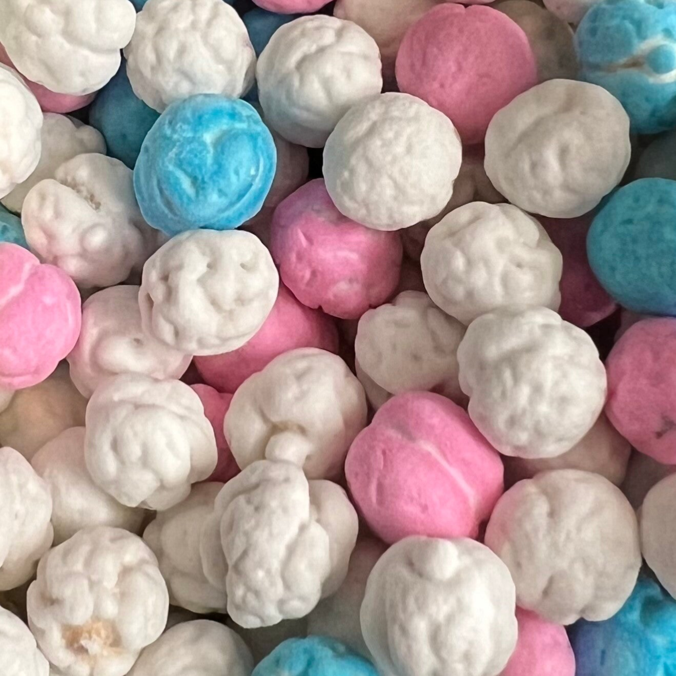 Leblebi ⭐️ قضامة بسكر