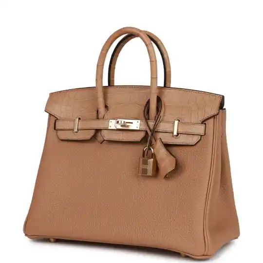 Hermes Birkin 25 Chai Matte Alligator