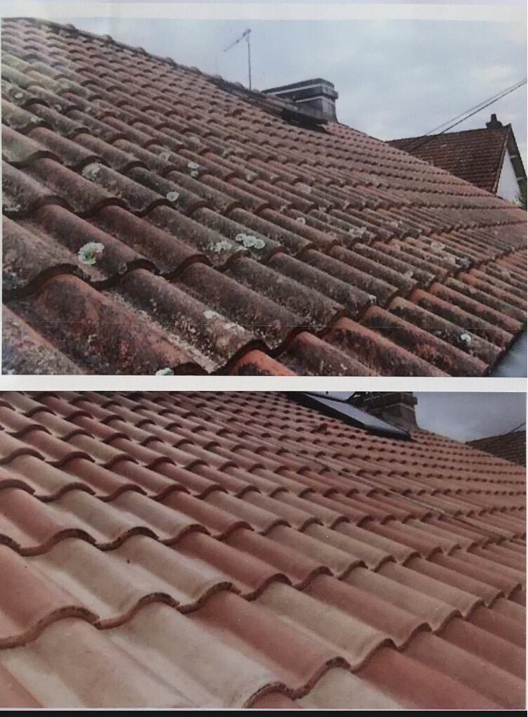 Démoussage de toiture 