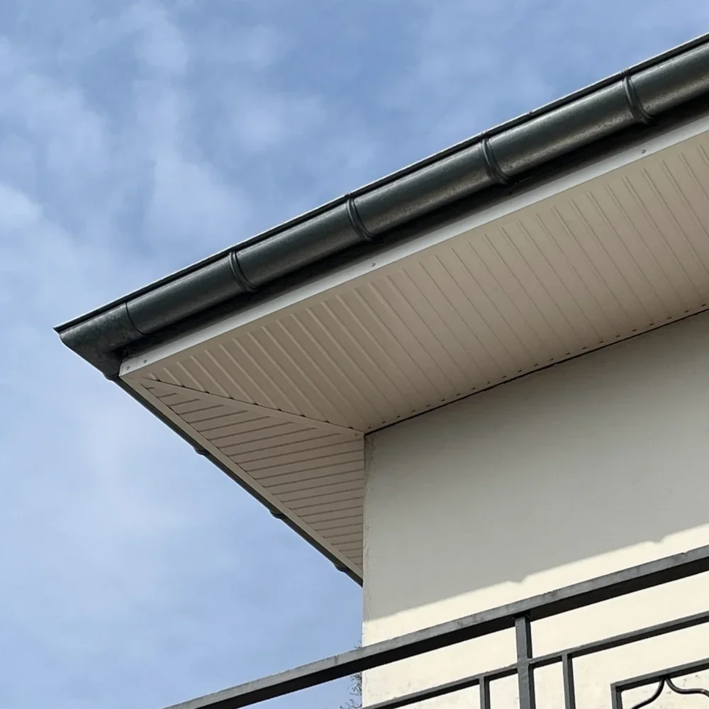 Rénovation Sous toiture 