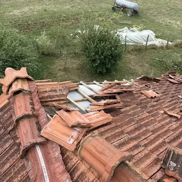 Réparations sur toiture 