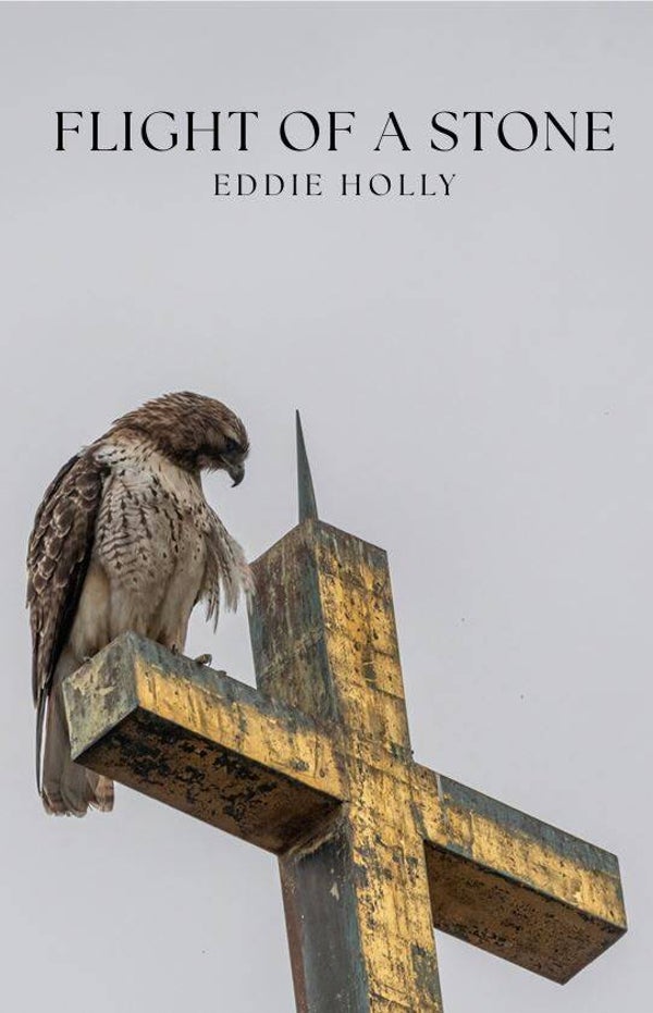 FLIGHT OF A STONE