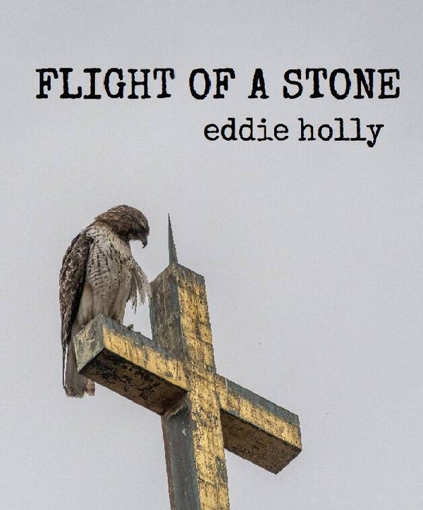 FLIGHT OF A STONE