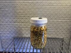 Grain 1LB jar