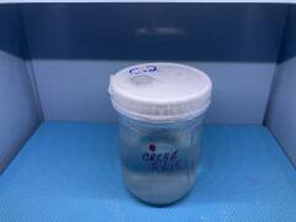 Mushroom Culture Jars
