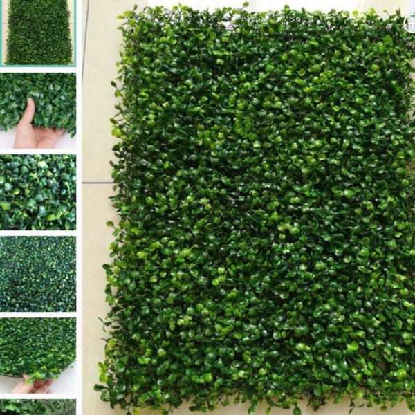 Greenery wall