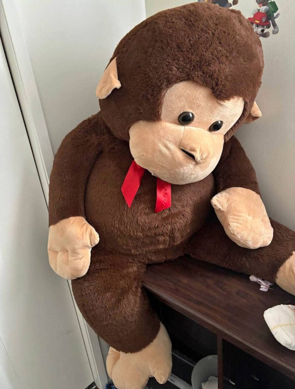 Monkeys life size