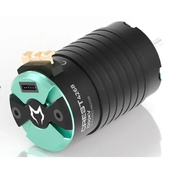 CAYOTE 1/8 CREST 4268 2800KV Brushless Motor