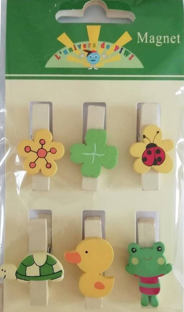Lot de 6 pinces à linge jardin