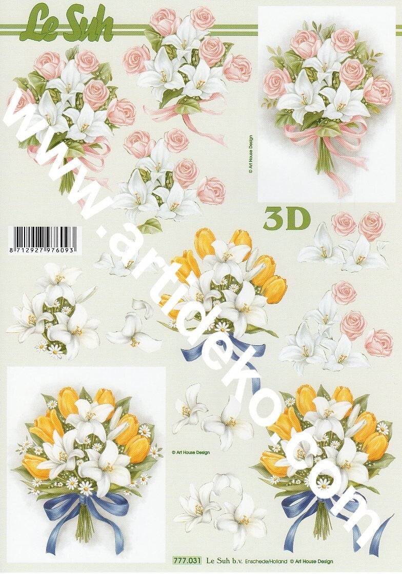 feuille 3D
