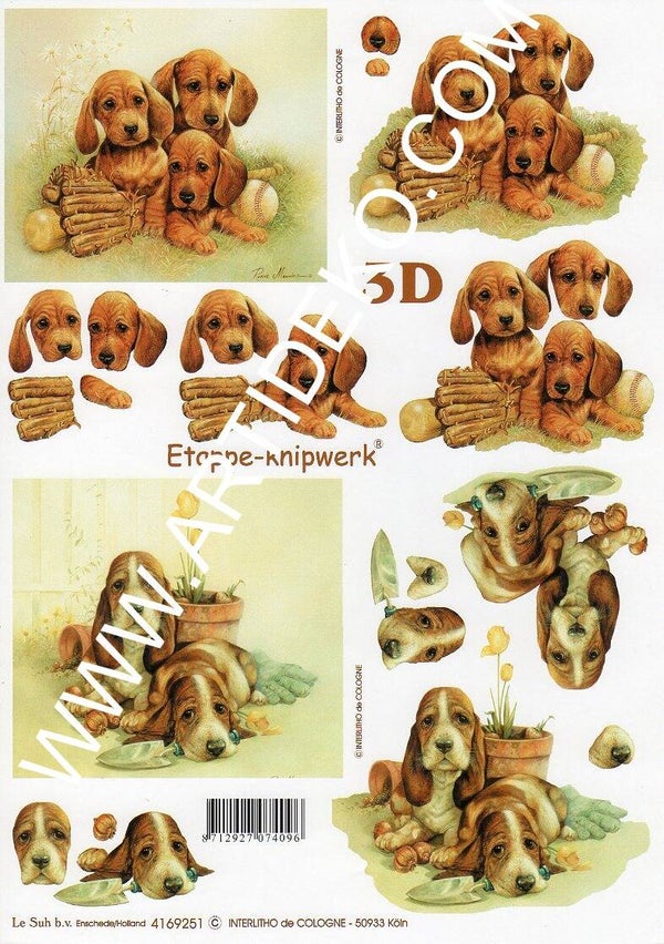 feuille 3D
