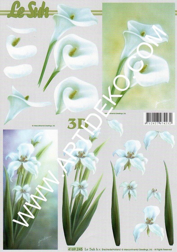 feuille 3D