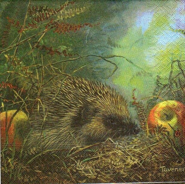 lot de 10 serviettes en papier thème animaux