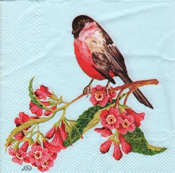 serviette en papier