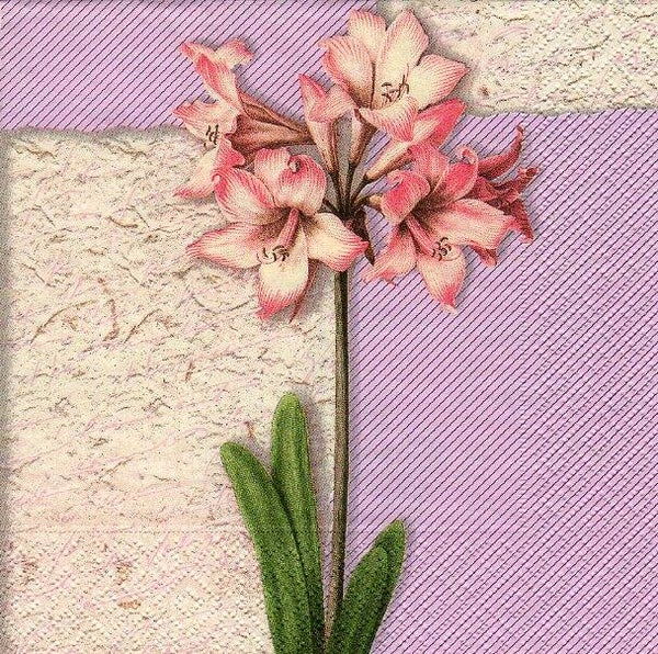 serviette en papier