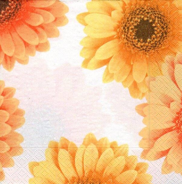 serviette en papier