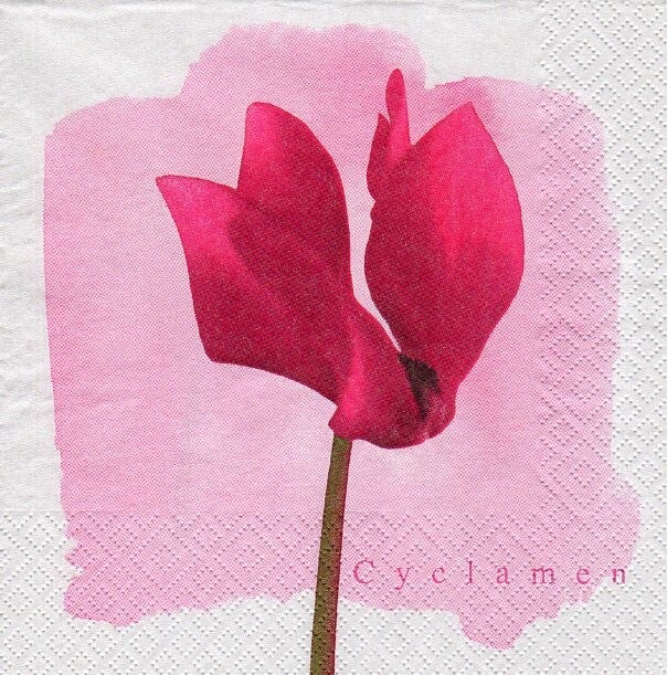 lot de 10 serviettes en papier thème fleurs