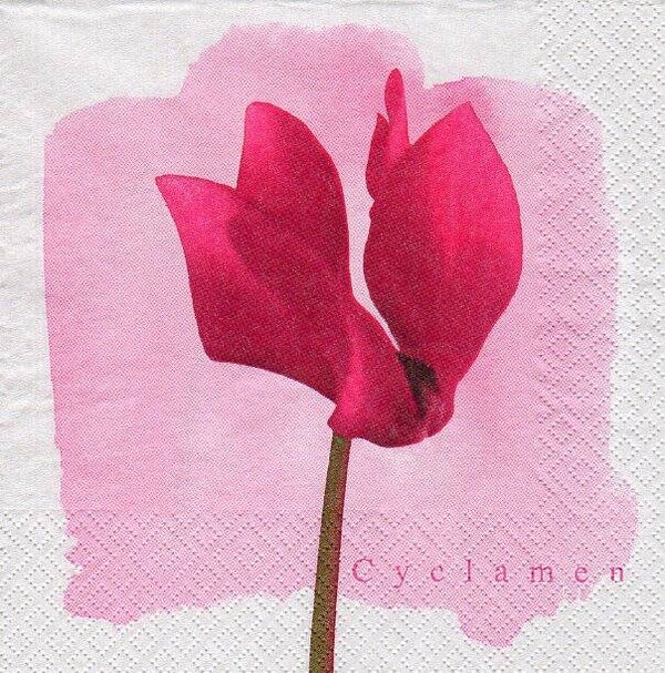 lot de 10 serviettes en papier thème fleurs