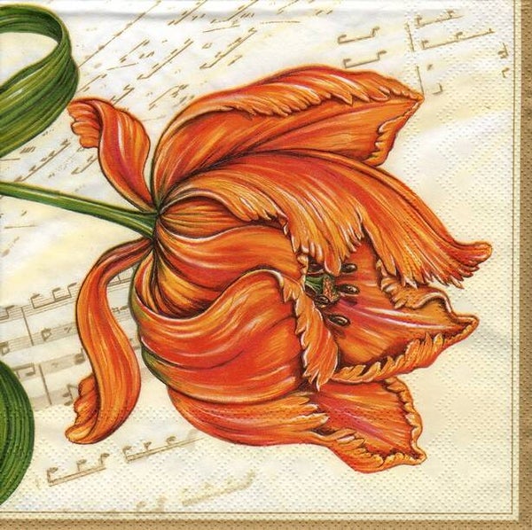 serviette en papier