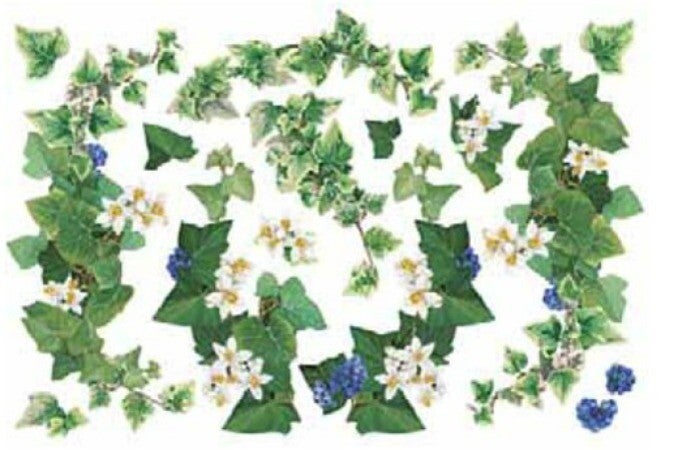 papier de riz - lierre -35X50