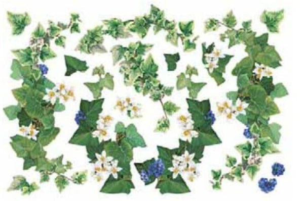 papier de riz - lierre -35X50