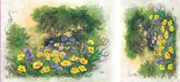 papier de riz - aquarelle 3-23X50