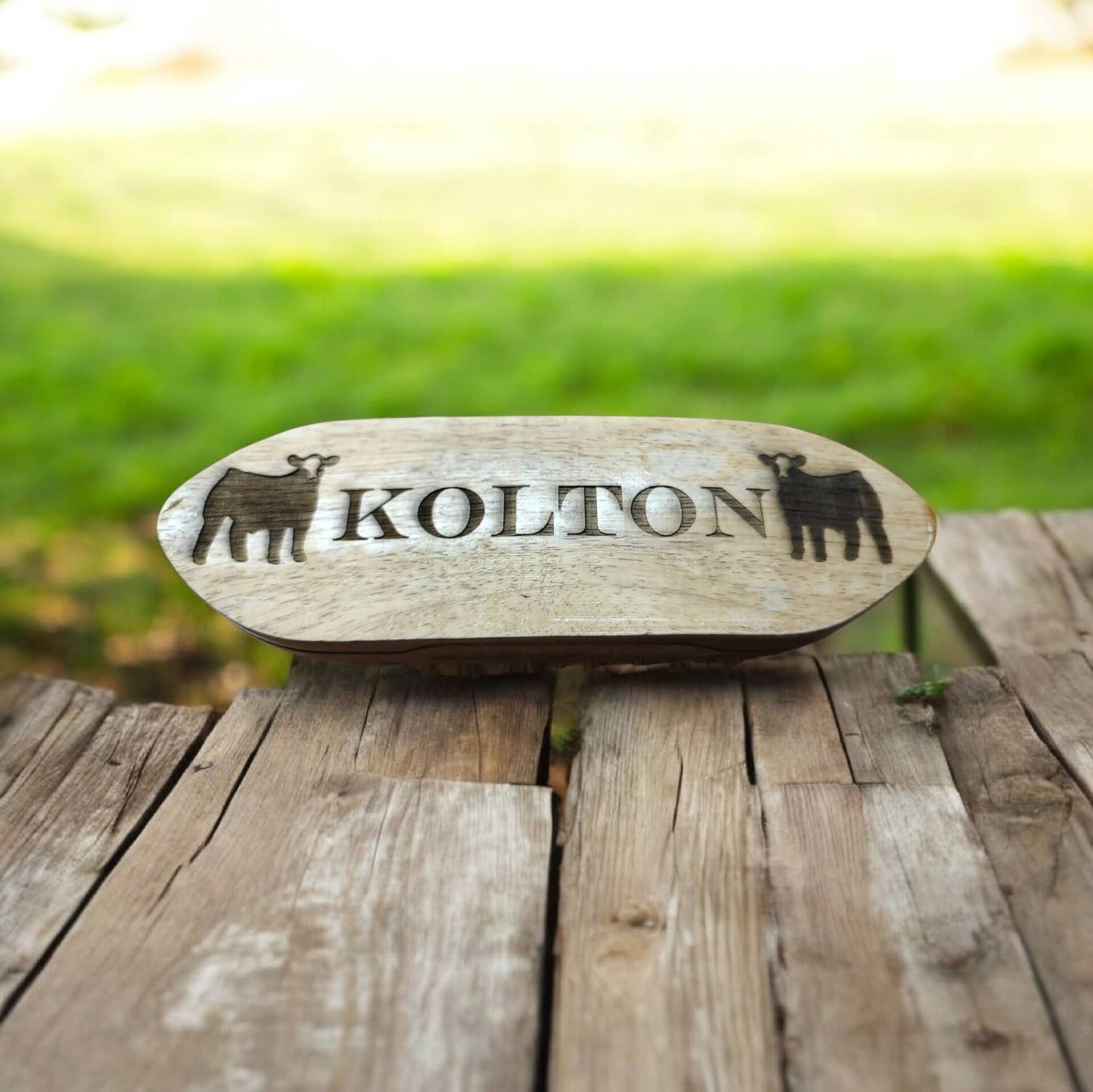 Laser engraved livestock brush