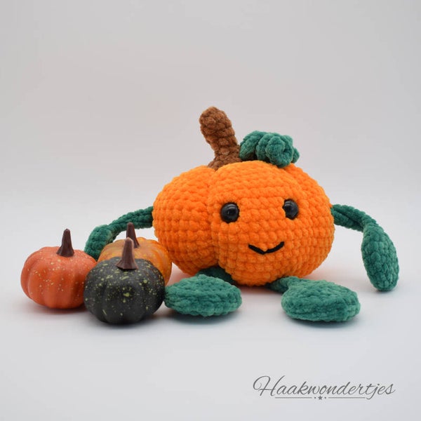 Mr. Tendrils pompoen - op voorraad