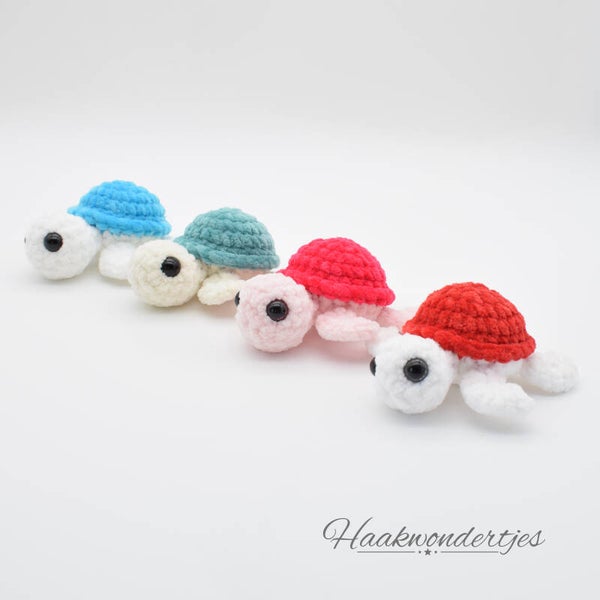 Schildpad - op voorraad