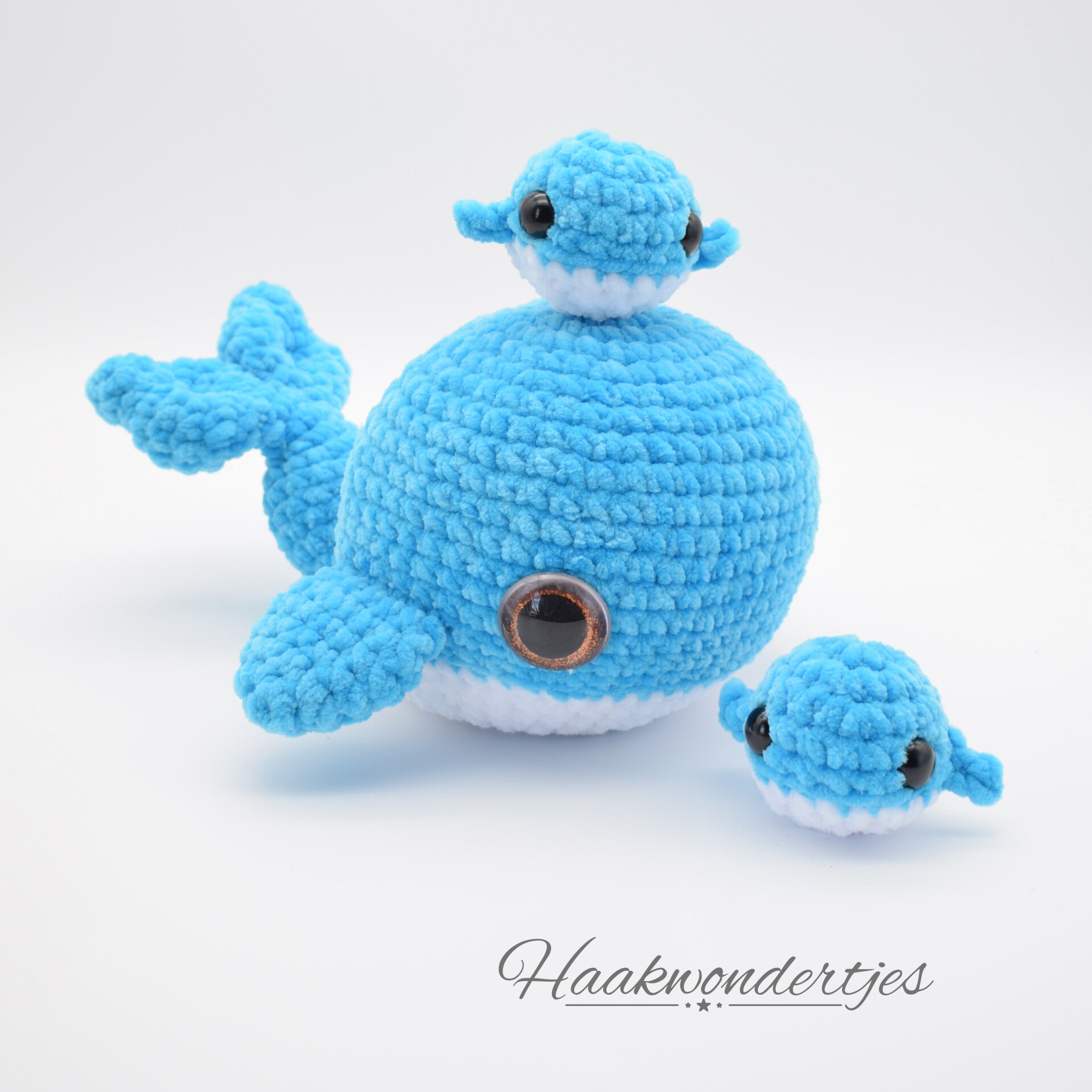 Walvis - op voorraad