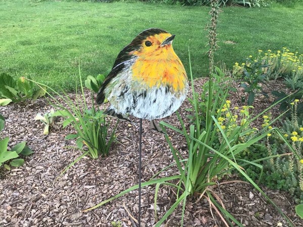 Robins