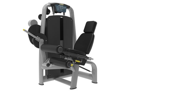 Seated Leg Curl